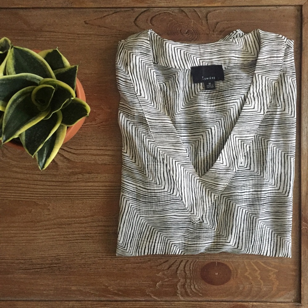 Sheer Zebra Blouse - Picture 2 of 6